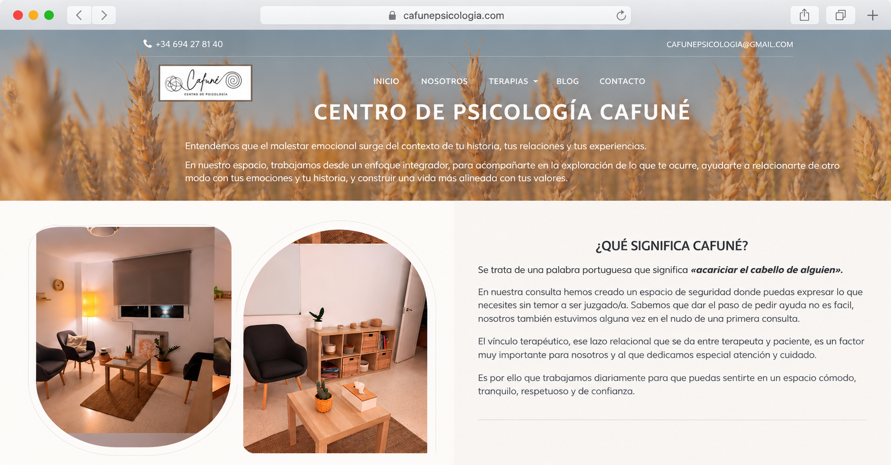 Proyecto web desarrollado por Experto en Informática