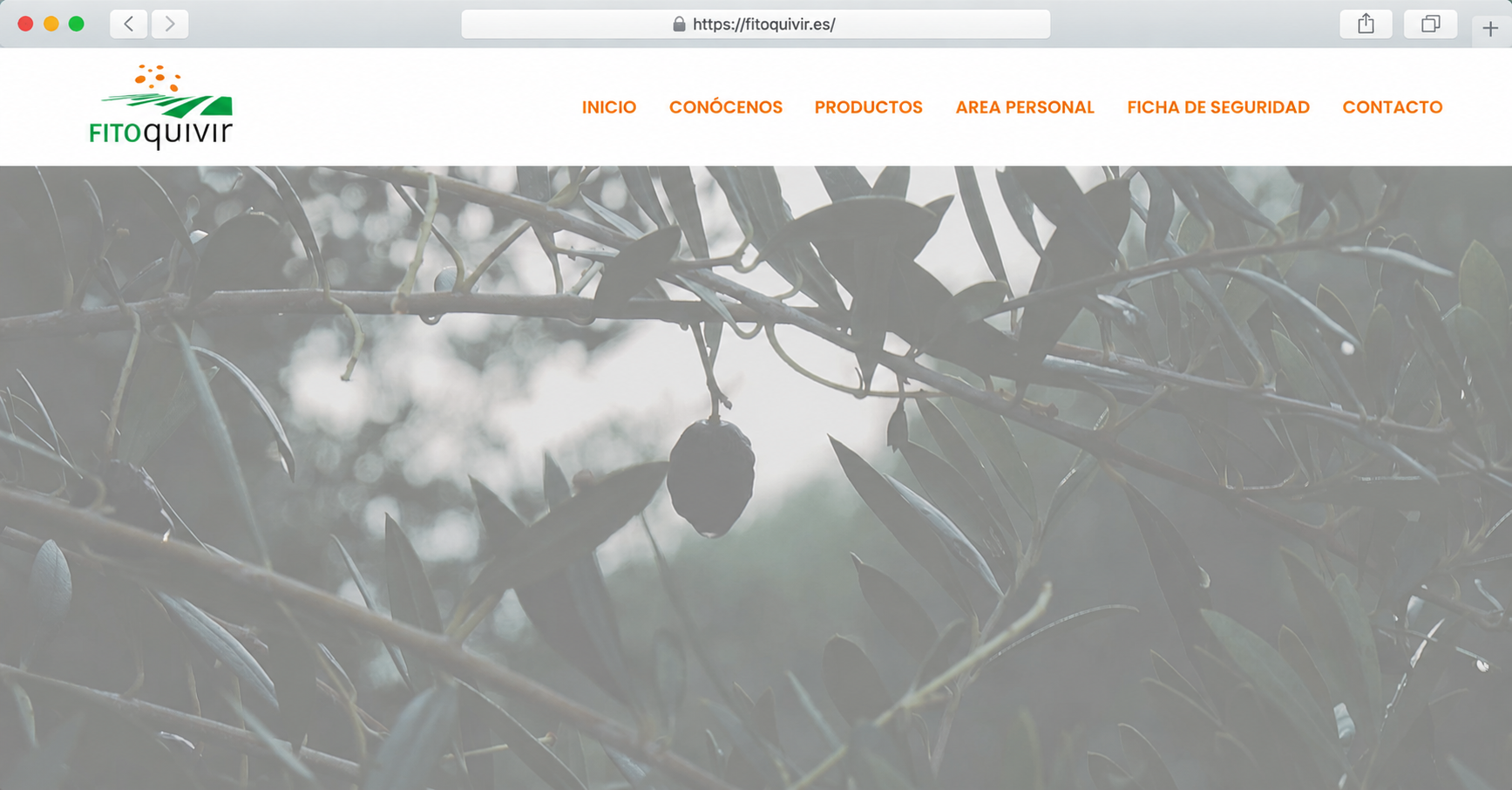 Proyecto web desarrollado por Experto en Informática