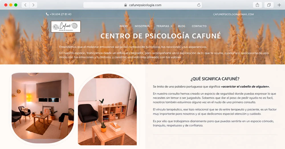 Proyecto web desarrollado por Experto en Informática